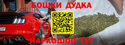 гидра Кингисепп