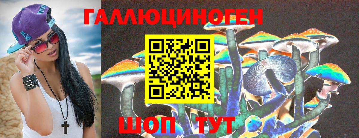 магазин продажи наркотиков  Вход с VPN  Псилоцибиновые грибы мухоморы  Лесосибирск  Галлюциногенные грибы ЛСД 
